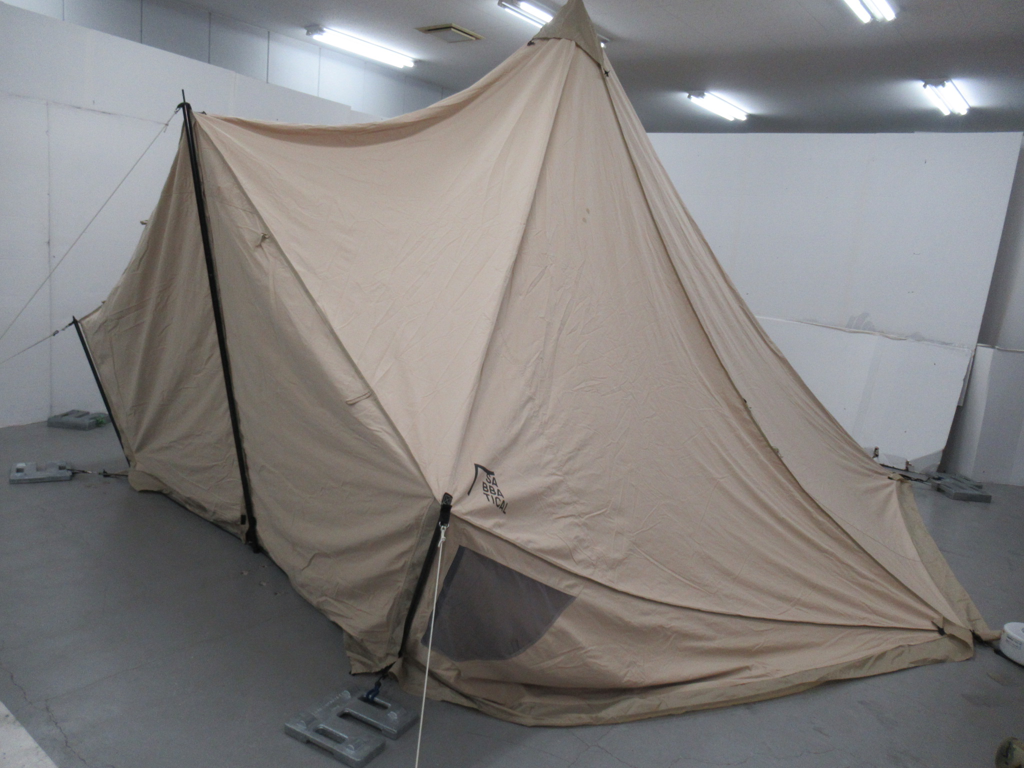 SABBATICAL（サバティカル）  モーニンググローリー TC