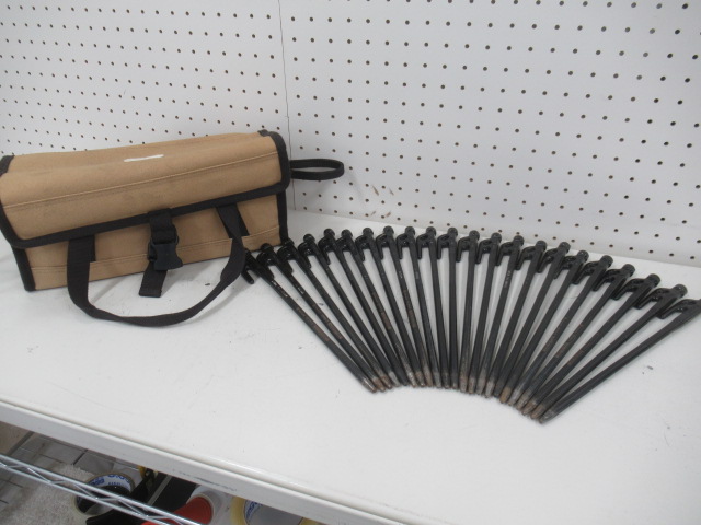 Snow Peak（スノーピーク） ソリッドステーク30 22本 マルチコンテナMセット