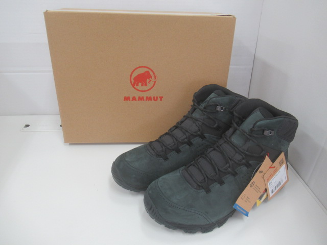 MAMMUT（マムート） MERCURY IV MID GTX Black