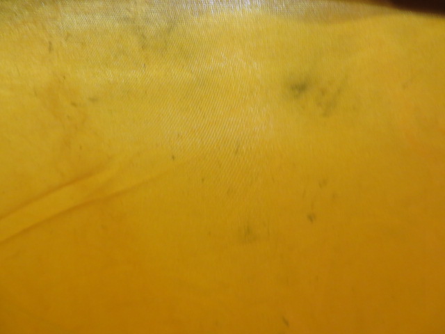 Coleman(コールマン) CORTES4