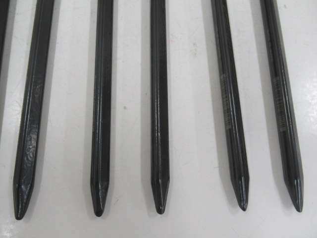 Snow Peak（スノーピーク）  ソリッドステークデルタ 30 10本セット