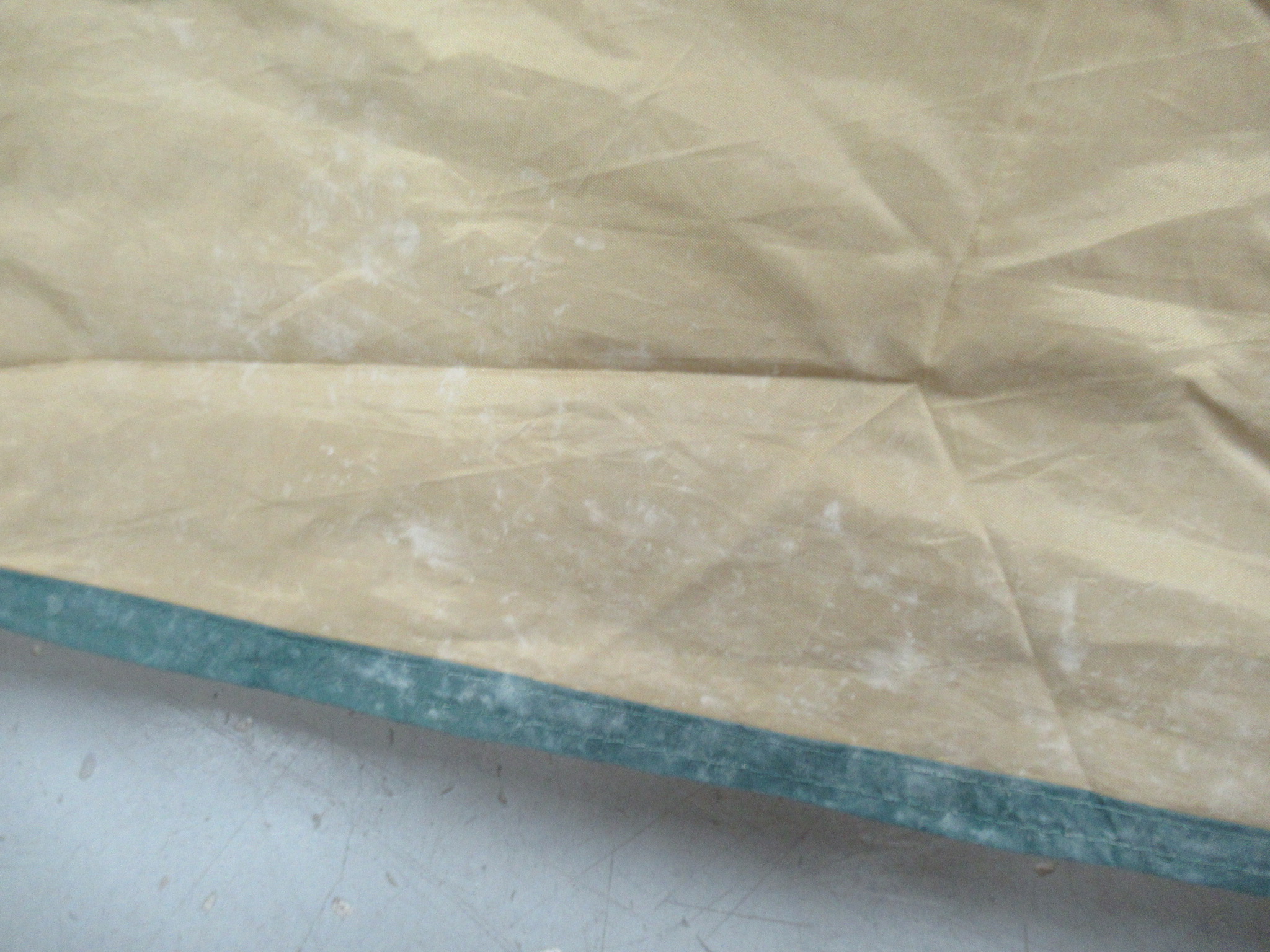 Coleman（コールマン）  タフワイドドームV/300