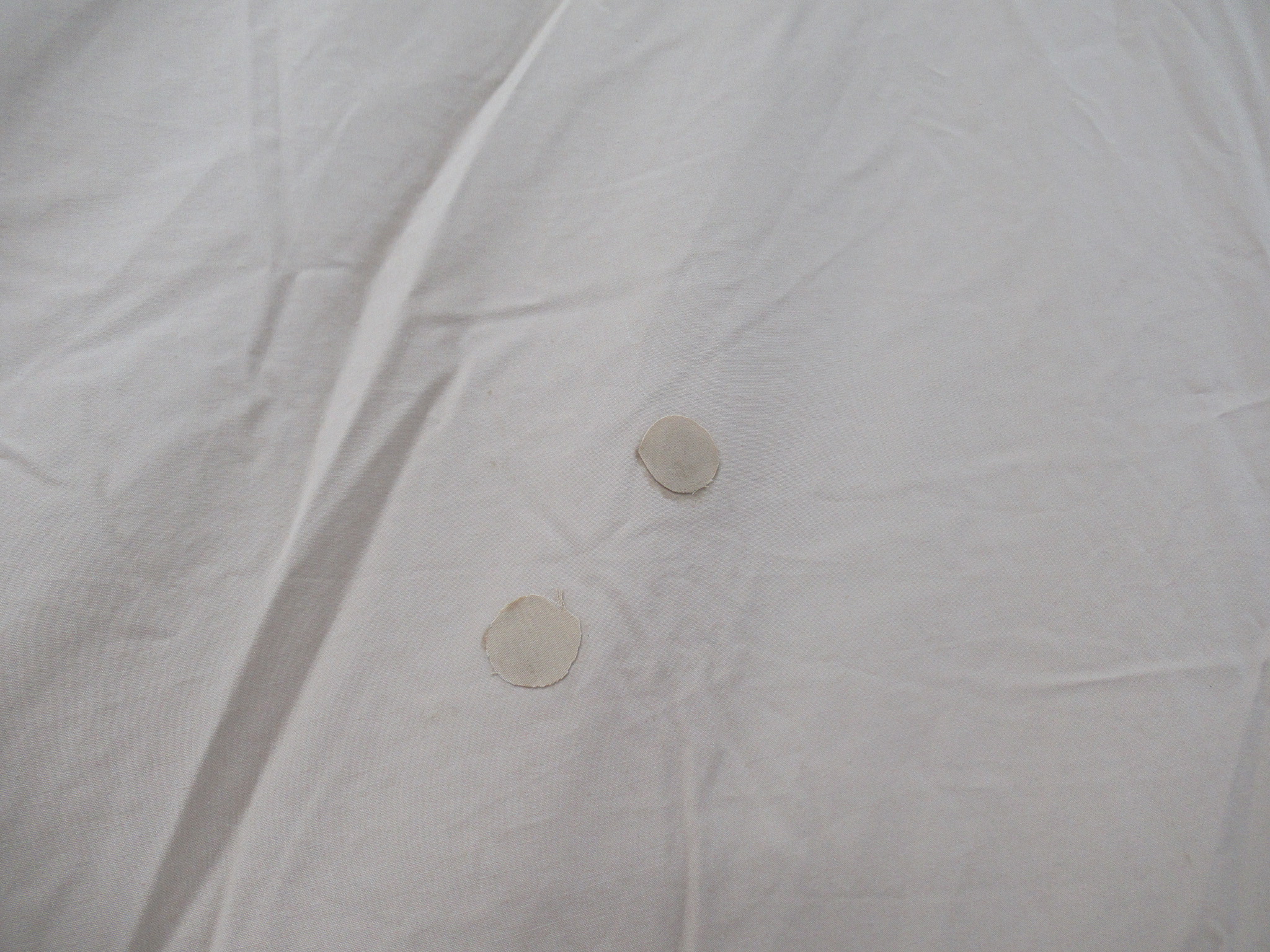 SABBATICAL(サバティカル)   モーニンググローリー TC