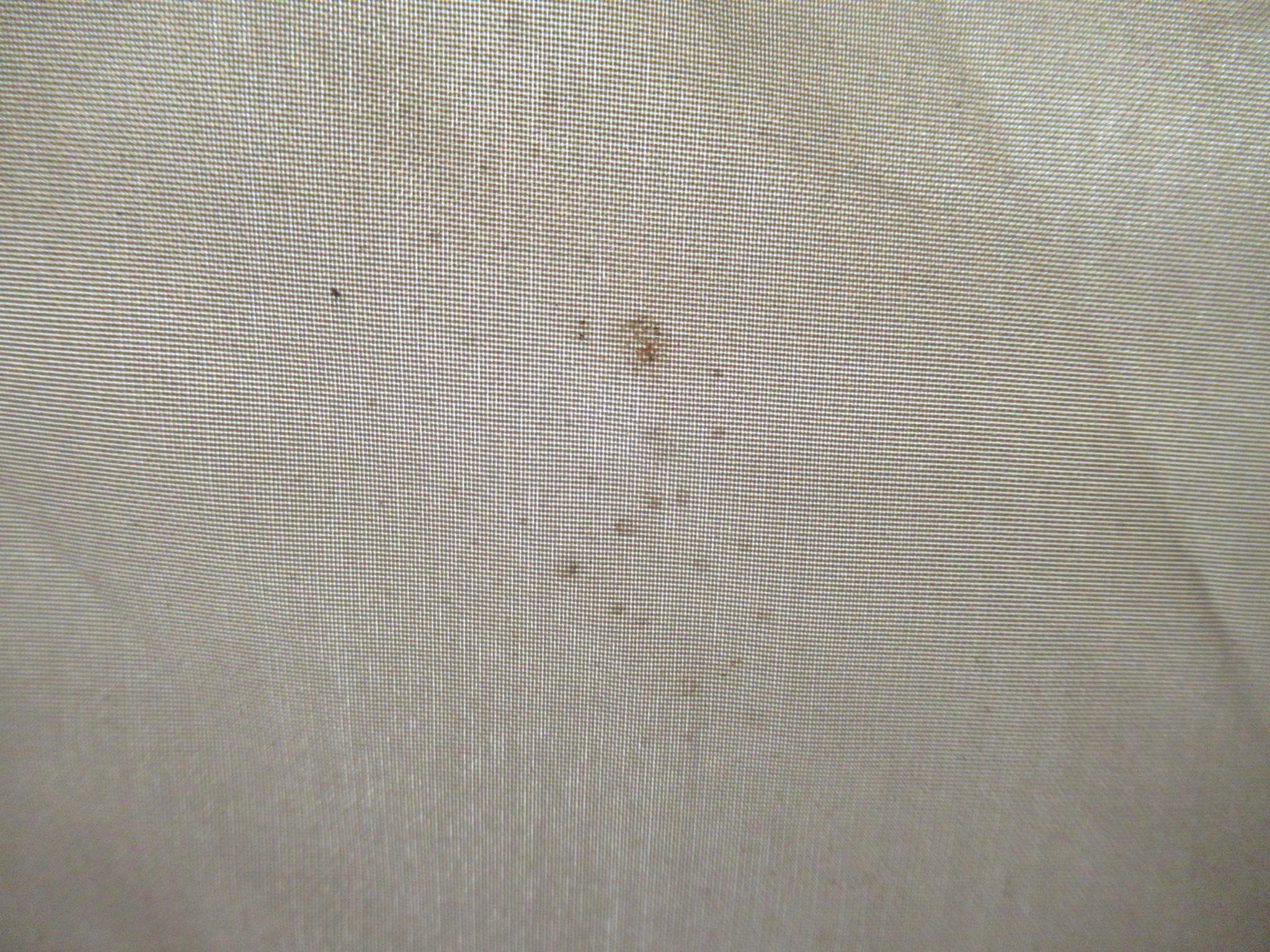 Snow Peak(スノーピーク) リビングシェル TP-623R