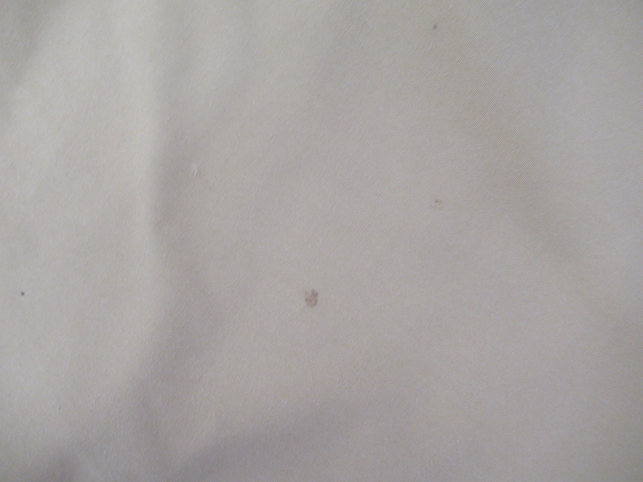 tent-Mark DESIGNS(テンマクデザイン) ペポタープ