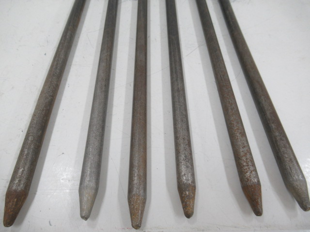 Snow Peak(スノーピーク) ソリッドステーク40×6本 ケースセット