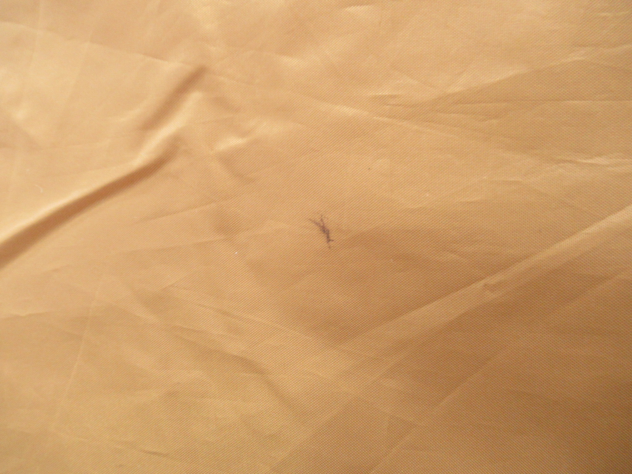 Snow Peak（スノーピーク）  エントリーパックTT ヴォールト SET-250H