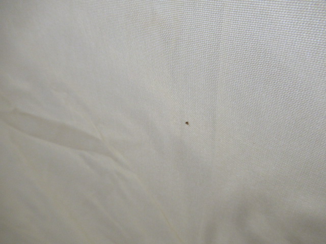 DOD（ディーオーディー）  カマボコテント3M タン