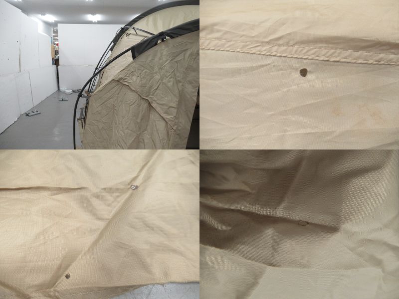 SABBATICAL（サバティカル）  アルニカ