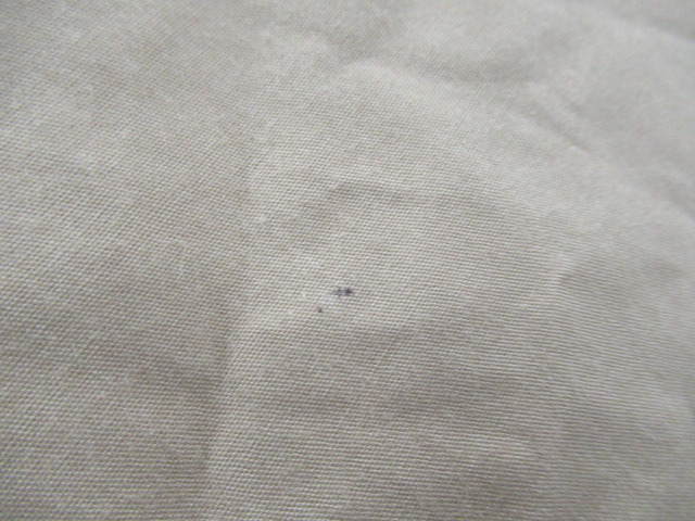 Soomloom（スームルーム）  サーカステント TC