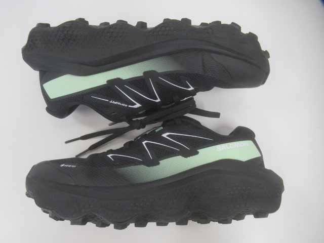 SALOMON(サロモン) ULTRA FLOW 2 GORE-TEX