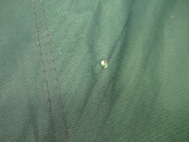 CAPTAIN STAG（キャプテンスタッグ）  ＣＳラウンジチェアtype2