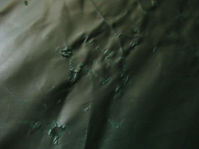 Coleman(コールマン) スタンダードドーム4 300