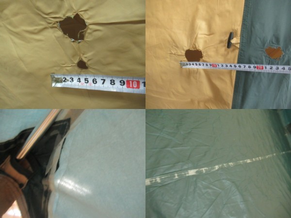 Coleman(コールマン)  スタンダードドーム 4