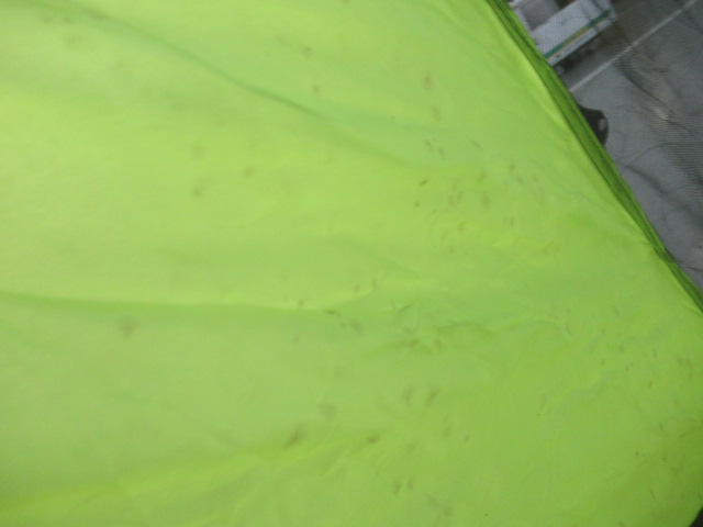 DOPPELGANGER OUTDOOR（ドッペルギャンガー）  ワンタッチテント T3-79