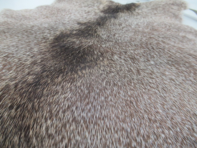 その他ブランド  尻当て