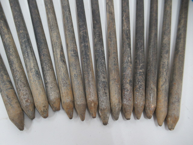 Coleman（コールマン）  スチールソリッドペグ 30cm セット