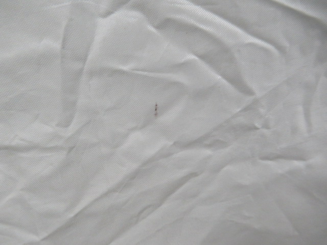 その他ブランド  タープ付きワンタッチテント