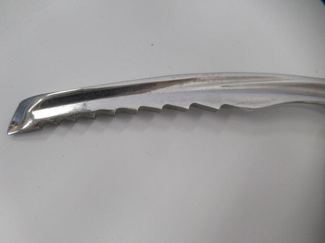 Black Diamond（ブラックダイヤモンド）  レイブンプロ+プロテクター