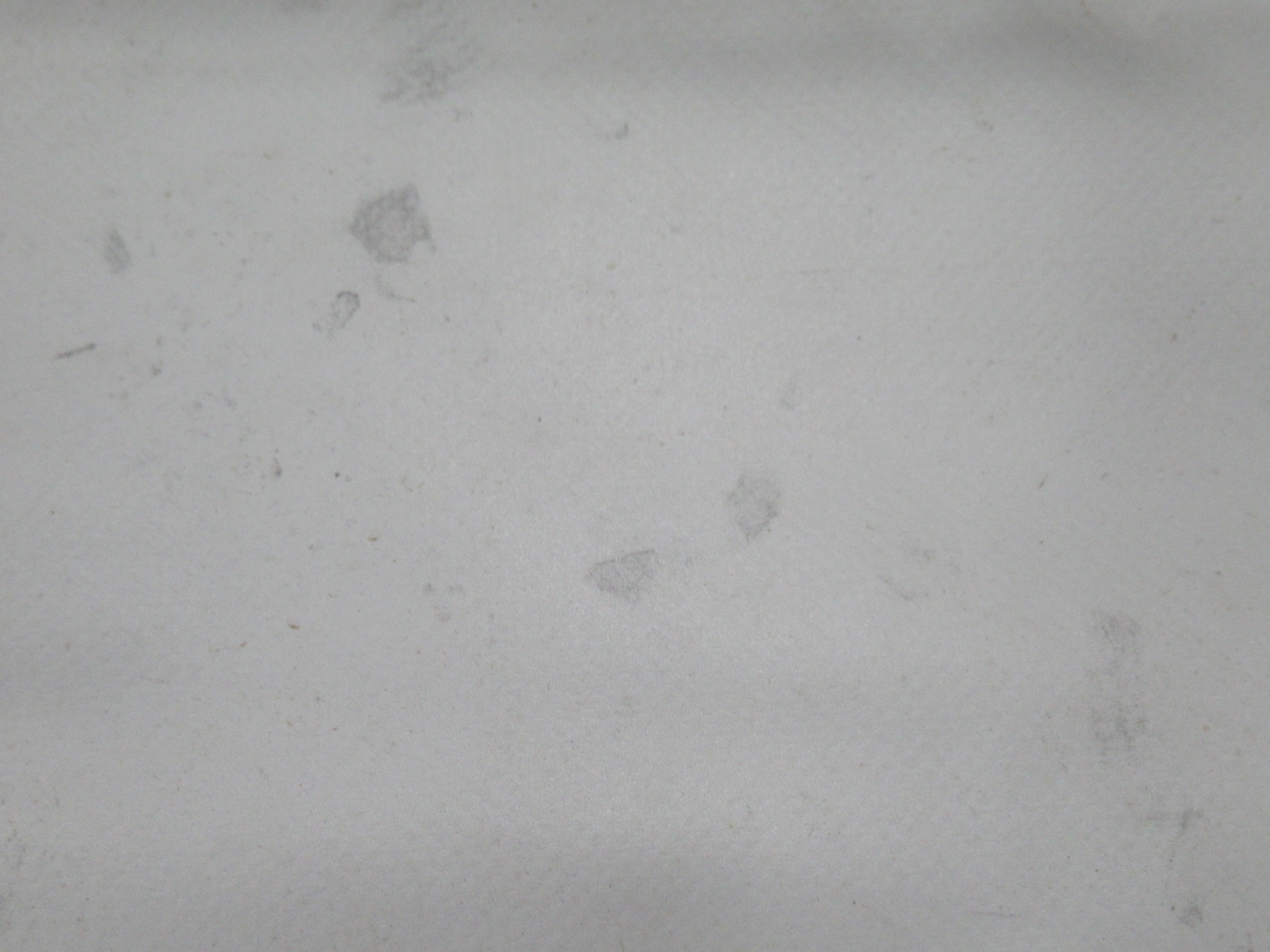 ogawa（小川・キャンパルジャパン）  ティエラリンド グランドマット・PVCシートセット