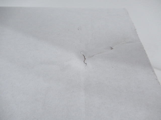 Snow Peak（スノーピーク）  メッシュラックスタンド