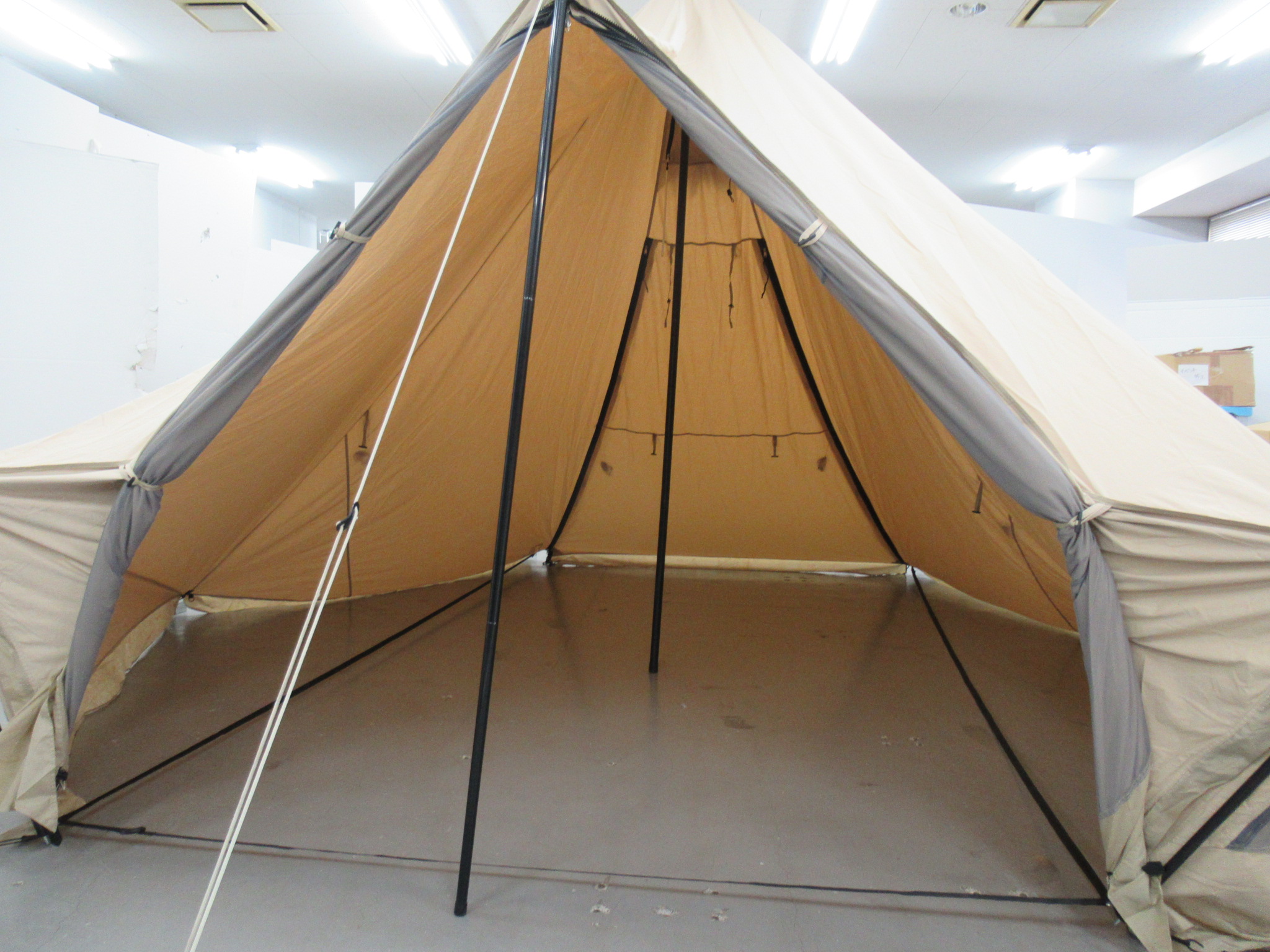 SABBATICAL(サバティカル)   モーニンググローリー TC