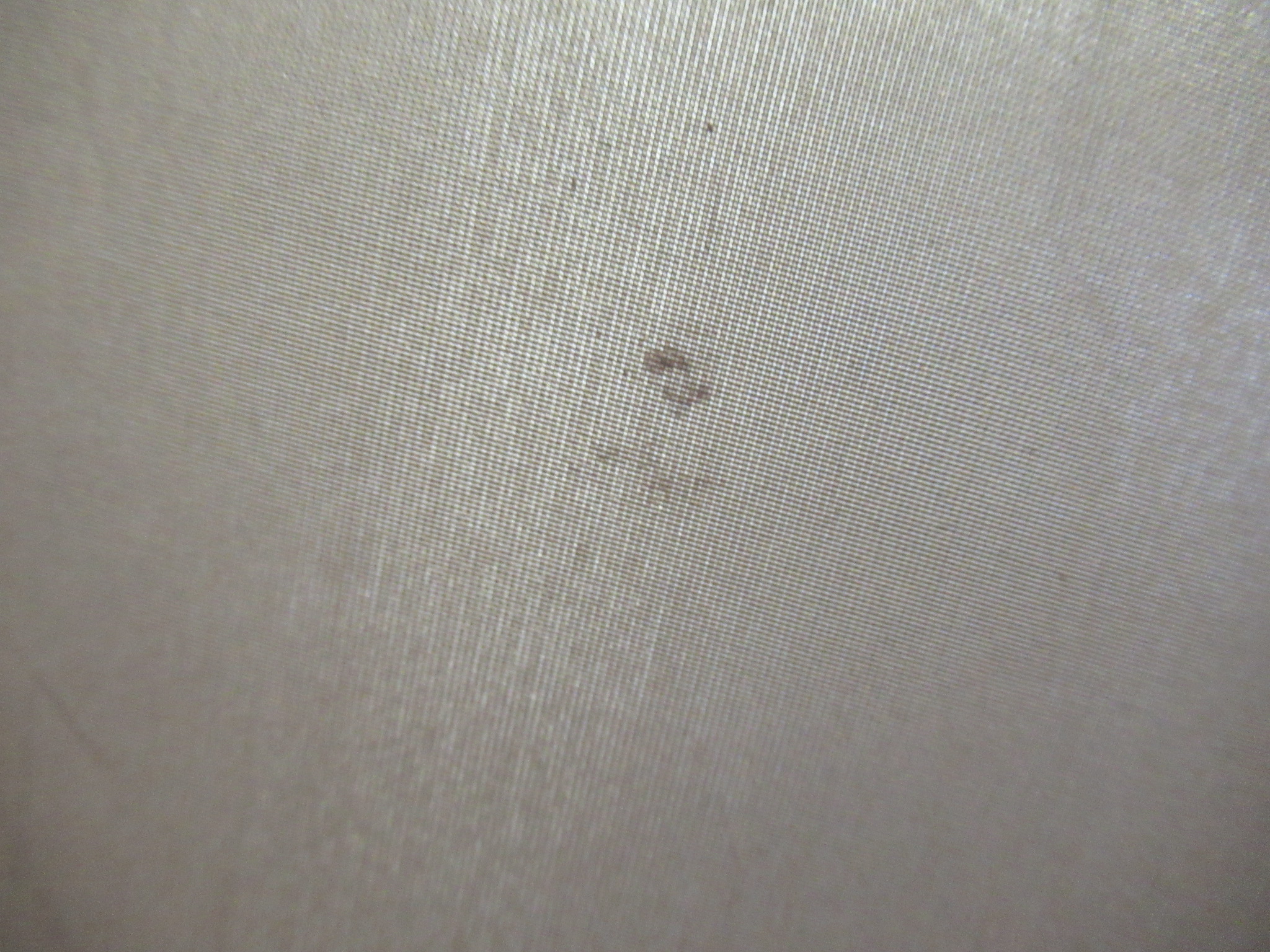 Snow Peak(スノーピーク) リビングシェル TP-623R