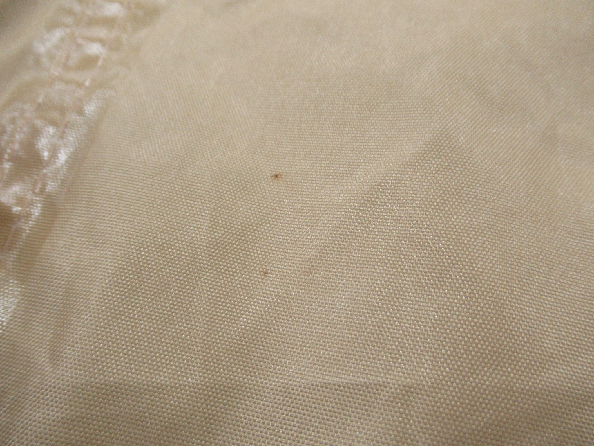 DOD（ディーオーディー）  オーマイロンリナイイッツマイライフタープ