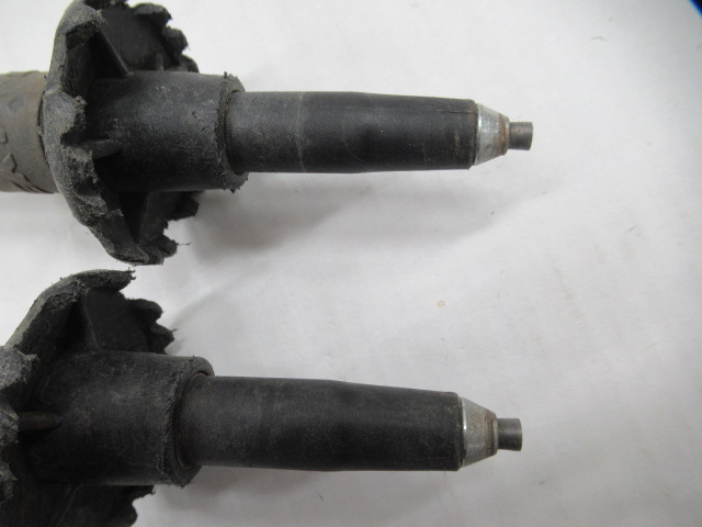 LEKI（レキ）  マイクロバリオカーボン レディー AS