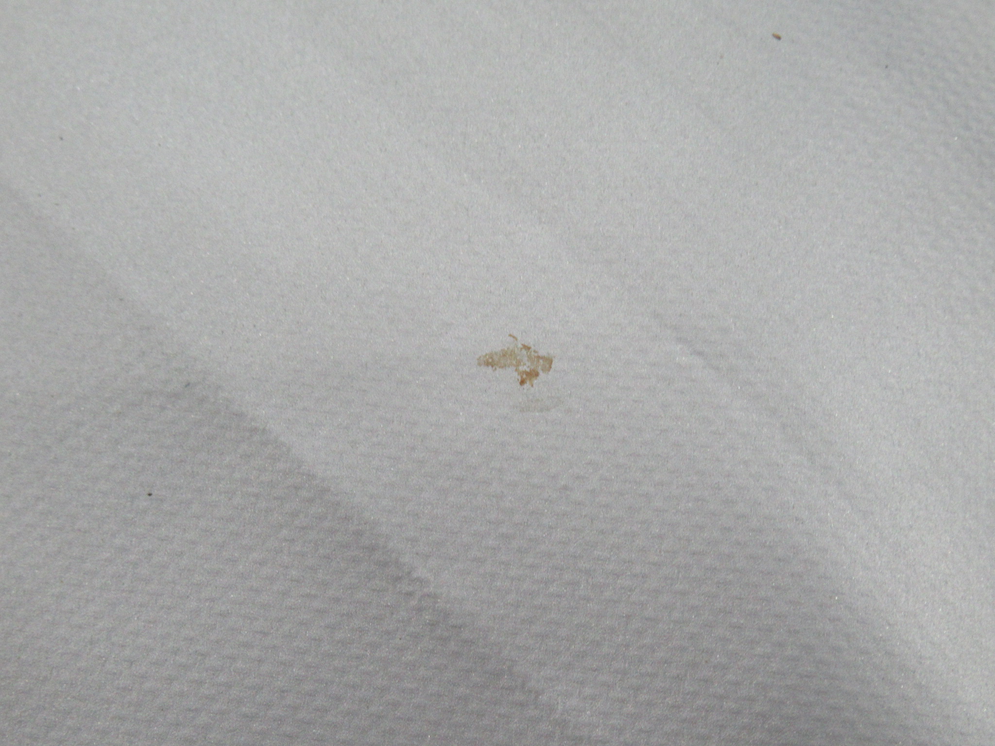 ogawa（小川・キャンパルジャパン）  グロッケ12用 PVCマルチシート