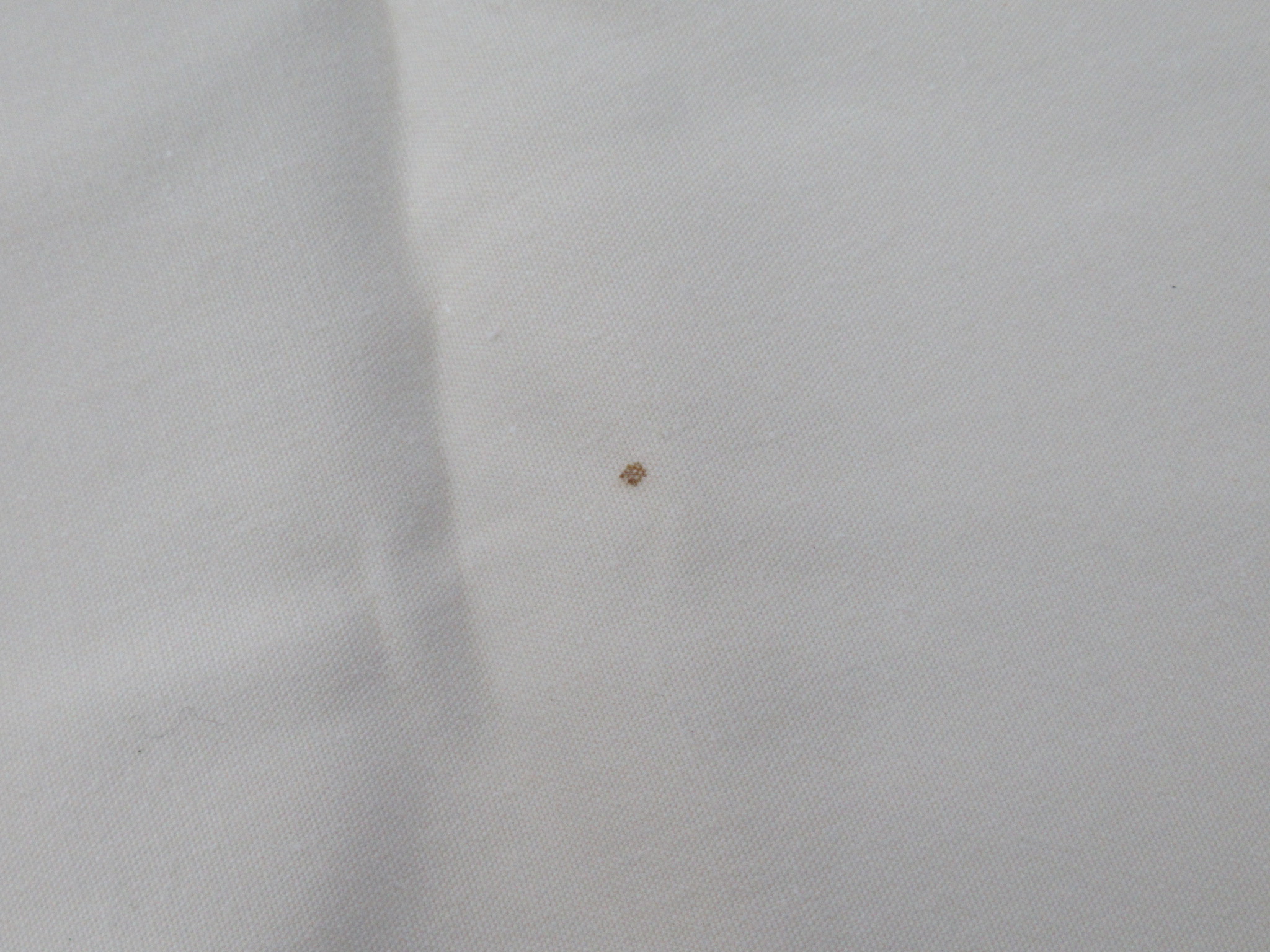 ogawa（小川・キャンパルジャパン）  システムタープ ペンタ4×4 T/C