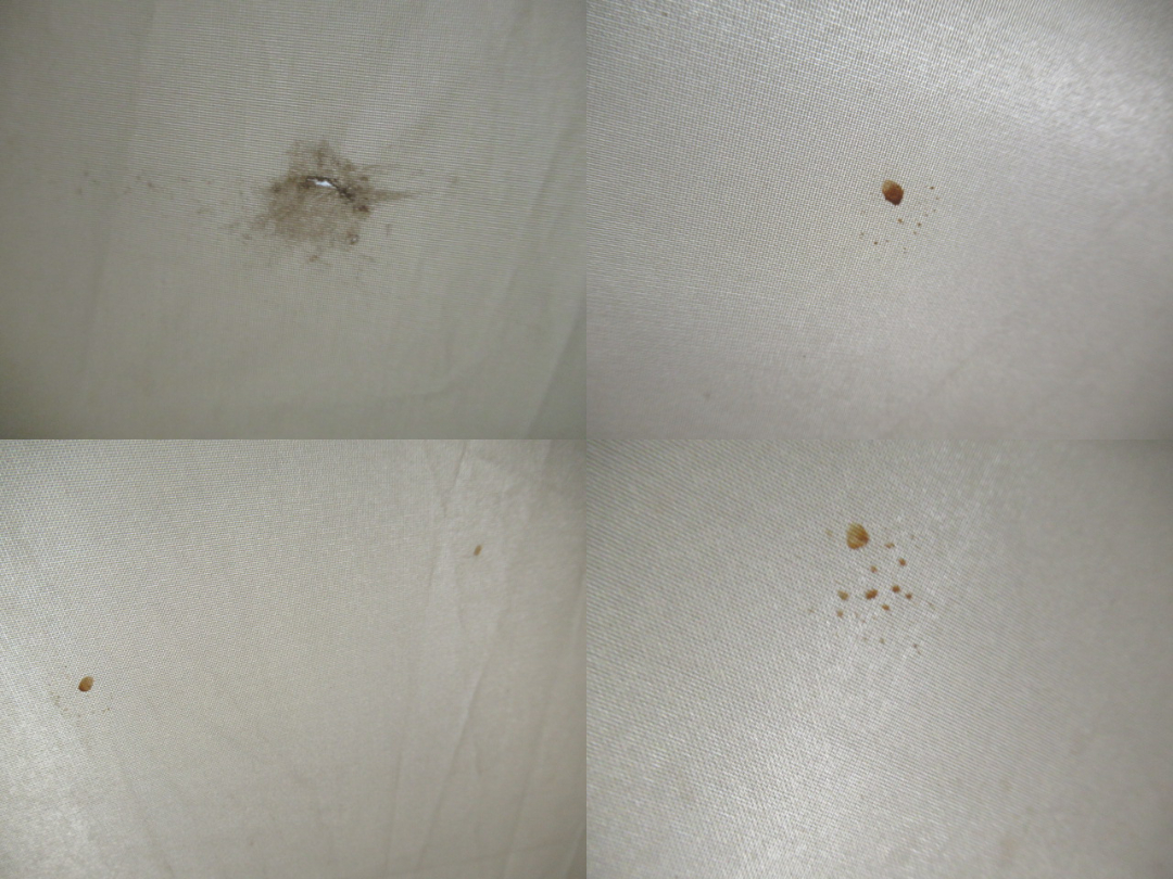 SABBATICAL(サバティカル) ギリア(サンドストーン)