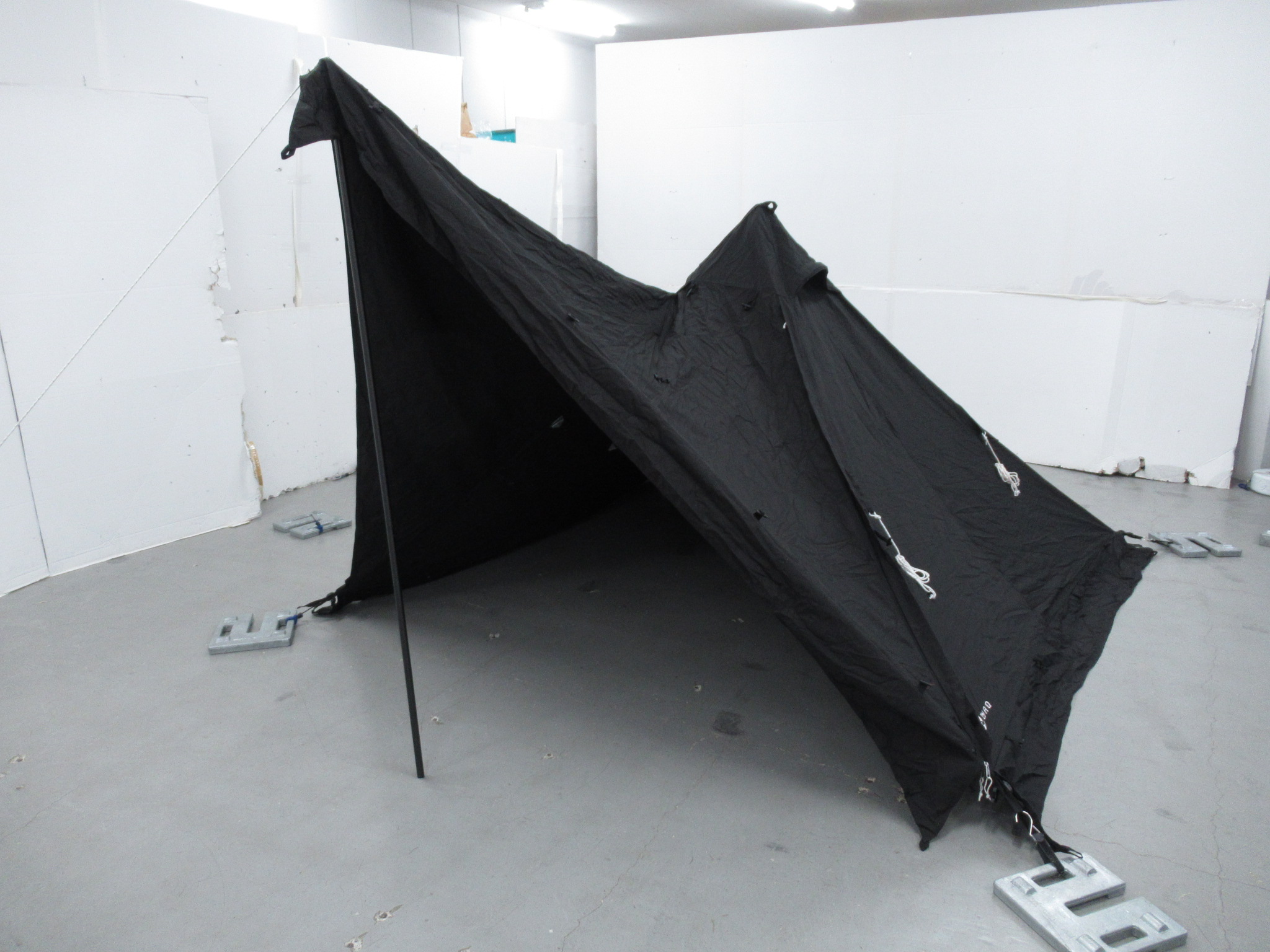 WAQ（ワック）  アルファTC ブラック