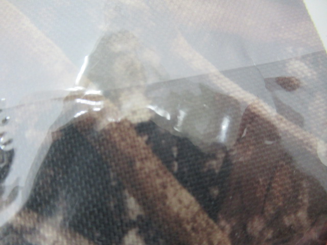 HALF TRACK PRODUCTS(ハーフトラックプロダクツ) ハイキングチケット