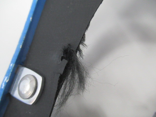 MSR（エムエスアール）  ライトニングアッセント 22