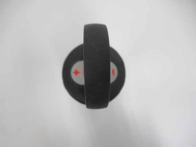 Ledlenser（レッドレンザー）  ML6 Warm Light