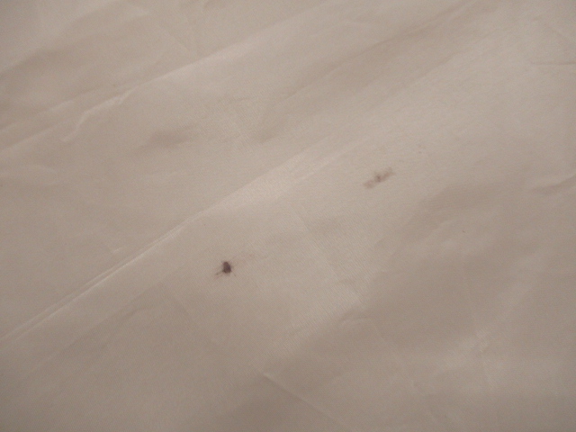 LOGOS（ロゴス）  LOGOS LAND ツーリングタープ