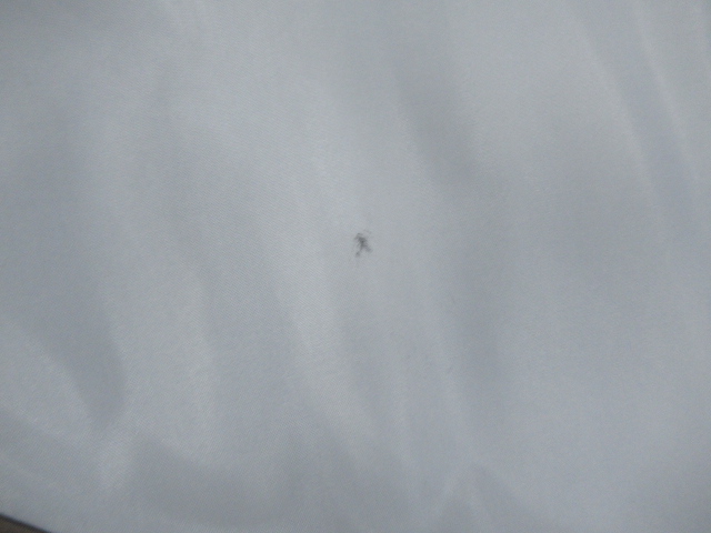 tent-Mark DESIGNS（テンマクデザイン）  サーカス 4/5 マット ソロ・グランドシート ソロ セット