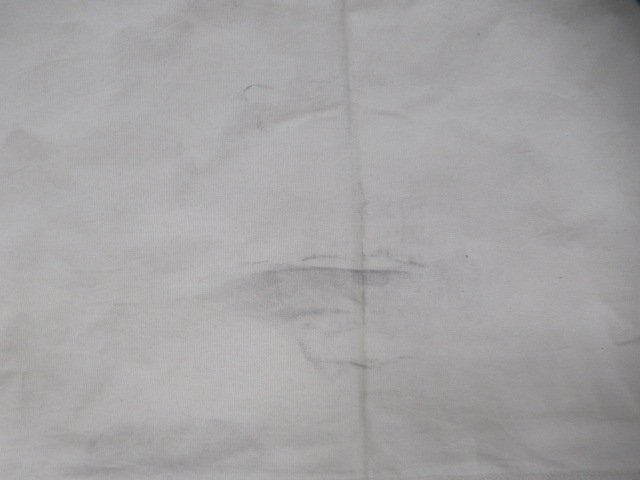 CanvasCamp(キャンバスキャンプ) キャンバスシェルター 2×4