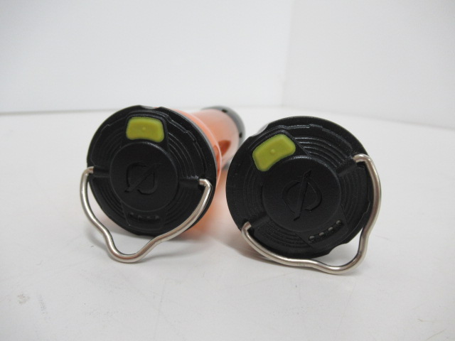 Goal Zero（ゴールゼロ）  ライトハウスマイクロ 2点セット