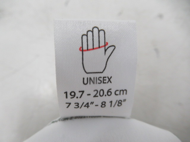 ARC'TERYX（アークテリクス）  ゴシックグローブ