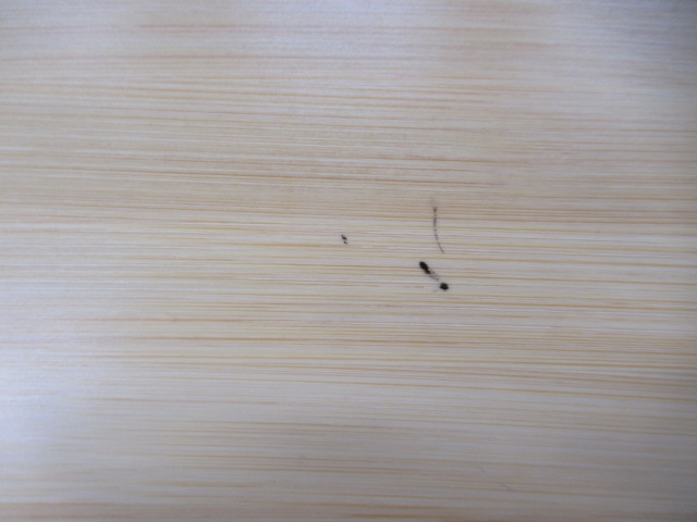 Snow Peak（スノーピーク）  スライドトップロングハーフ竹 2点セット(2)