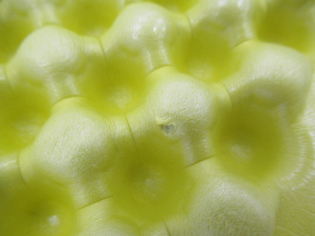 THERMAREST（サーマレスト）  Zライトソル R レギュラー