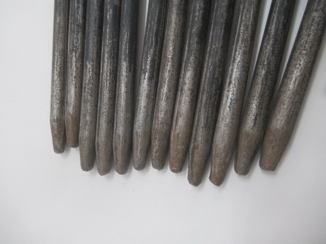 Snow Peak（スノーピーク）  ソリッドステーク30 セット (2)