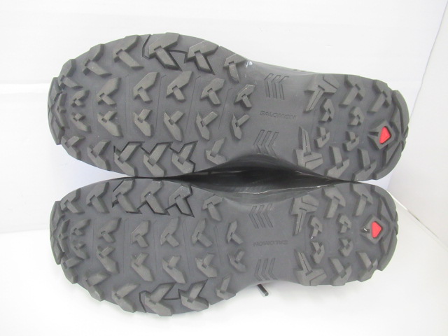 SALOMON（サロモン）  Xブレイズ GTX
