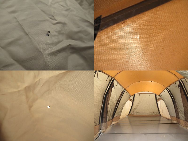 SABBATICAL（サバティカル）  アルニカ