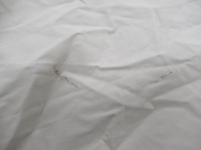 SABBATICAL（サバティカル）  スカイパイロット TC