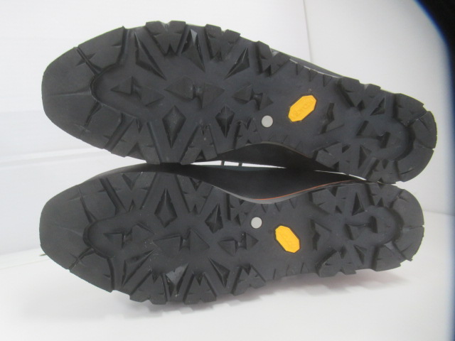 SCARPA(スカルパ) モンブランGTX
