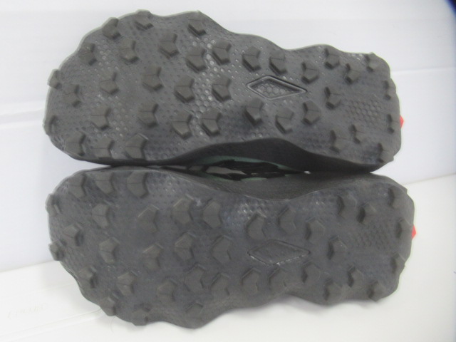 SALOMON(サロモン) ULTRA FLOW 2 GORE-TEX