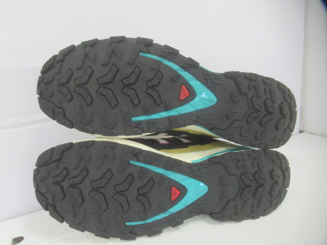SALOMON（サロモン）   XA PRO 3D V9 GTX